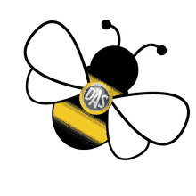 Bee Animal GIF - Bee Animal Honey GIFs