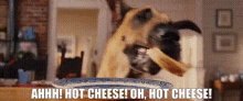 Marmaduke Hot Cheese GIF