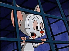 animaniacs pinky and the brain funny faces silly tongue out