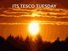 Tesco Tuesday GIF
