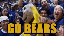 go bears oski fans uc berkeley cheer