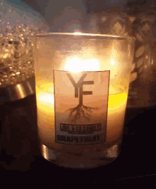 Yf Flame GIF - Yf Flame Flicker GIFs