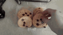 Chocolate Chip Cookies Cookies GIF - Chocolate Chip Cookies Cookies Pack Of Cookies GIFs