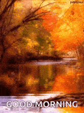 Fall Stream GIF - Fall Stream Tree GIFs