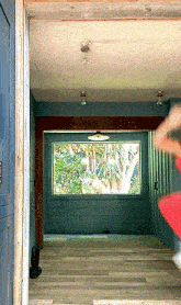 a person in a red shirt is jumping in a room with a window