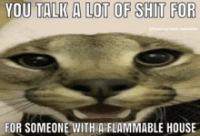a cat with a caption that says you talk a lot of shit for someone with a flammable house