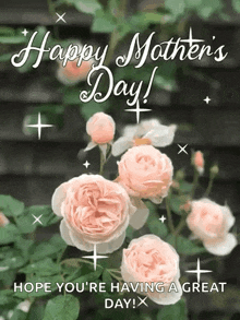 a happy mother 's day greeting card with pink roses