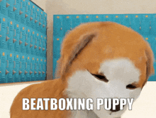Beatboxing Puppy Dog Eyes GIF - Beatboxing Puppy Dog Eyes Beatboxing Puppy GIFs
