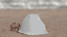 Just A Crab With A Car GIF - Crab Car Animated GIFs