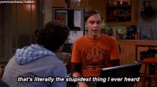 Sheldon Stupid GIF - Sheldon Stupid Stupidest Thing Ive Ever Heard GIFs