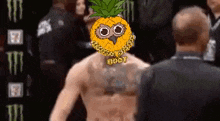 Pineowl Pineapple Owl GIF - Pineowl Pineapple Owl Pineapple GIFs