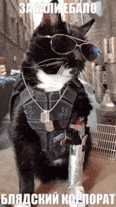 Silverhand Cat GIF - Silverhand Cat Cyberpunk 2077 GIFs