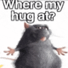 a picture of a rat with the words `` where my hug at '' written on it .