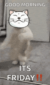 a picture of a cat with the words good morning its friday on it