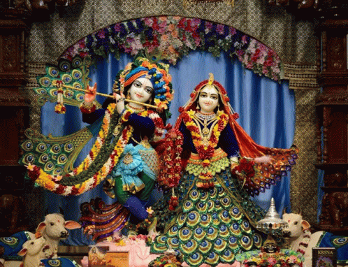 radha krishna wallpaper iskcon