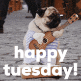 Pug Happy Tuesday GIF - Pug Happy Tuesday Tuesday GIFs