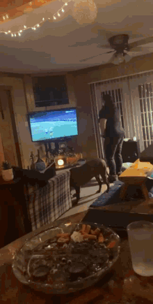 a dog standing in front of a tv watching a game