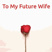 To My Wife GIF - To My Wife GIFs