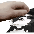 a person is petting a black and white dog 's head .