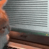 Cat Kitten GIF - Cat Kitten Cat Typing GIFs