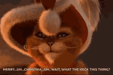 Christmas Cat GIF