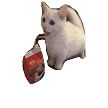 cat bouncy cat drinking milk drinking milk
