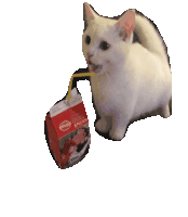 Cat Bouncy Sticker - Cat Bouncy Cat Drinking Milk Stickers