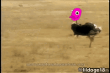 an ostrich with a cartoon face on its head is running in the sand