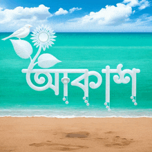 a picture of a beach with a bird and a flower with the word " akash " in white letters
