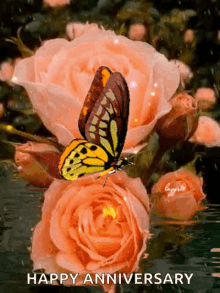 Flowers Beautiful In Day GIF