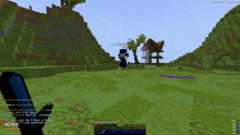 a screenshot of a minecraft game shows a person standing in the grass with a sword