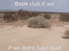 a blurred image of a desert with the words book club if we if we didn t hate read