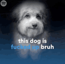 Thisdogisfuckedupbruh GIF - Thisdogisfuckedupbruh Dog GIFs