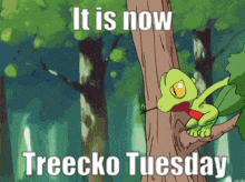 a cartoon of a lizard on a tree branch with the words " it is now treecko tuesday " below it