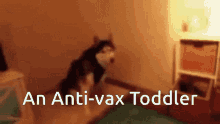 Sneeze Dog GIF - Sneeze Dog Antivax GIFs
