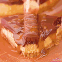 a close up of a piece of cake with a watermark that says wpplus