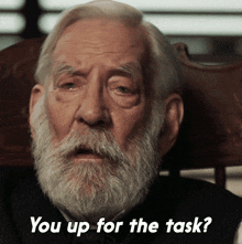 You Up For The Task Judge Parker GIF