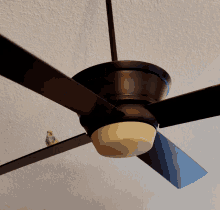 Budgie Spin GIF - Budgie Spin Bird GIFs