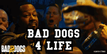 bdco bad dogs baddogs4life bad dogs for life