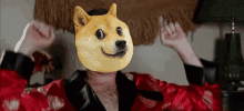 Doge Dogecoin GIF - Doge Dogecoin Will Ferrell GIFs