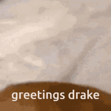 Greetings Drake Hi Drake GIF - Greetings Drake Hi Drake Hello Drake GIFs