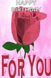 Flower For You GIF - Flower For You Rose Flower GIFs