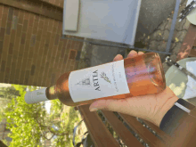 Rose Rose Wine GIF - Rose Rose Wine Wine GIFs