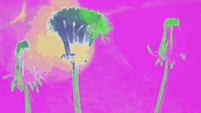 Flores Flower GIF - Flores Flower Pink GIFs