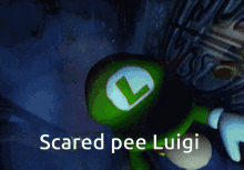Scared Pee Luigi Xdbigfunnypeesofunny GIF - Scared Pee Luigi Xdbigfunnypeesofunny Mario Brothers GIFs