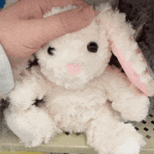 Plush Bunny GIF - Plush Bunny Coelho GIFs