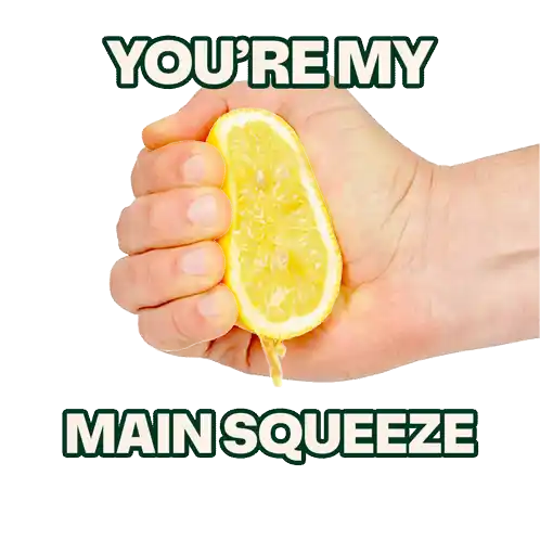 Main Squeeze Juicy Sticker - Main Squeeze Juicy Lemon Stickers