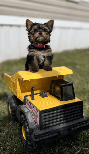 Tonka Toy Escort