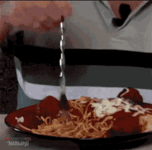 spaghetti pasta food italian food
