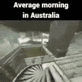 Australia Meme GIF - Australia Meme Ark GIFs